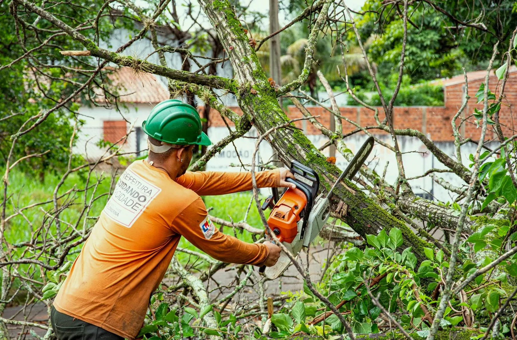 Forest Mulching & Brush Clearing in Montgomery, AL